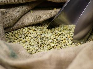 Apa Benar Kopi Green Bean Ampuh Turunkan BB? Ini Faktanya!