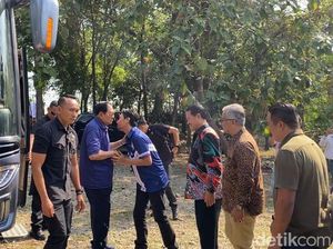 Atlet Jakarta LaVani Allo Bank Diboyong SBY Kulineran di Madiun Usai Juara