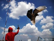 Potret Langit Cerah Jakarta Usai Hujan Akhir Pekan