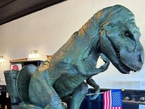 Museum Ini Teliti Tinja Binatang, Temukan Fakta T-Rex Makan Seperti Ular