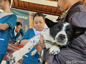 Rabies Merebak, Vaksinasi Massal Digelar di Singapadu Tengah