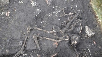 Pembantaian Sandby Borg: Ketika arkeolog yang mempelajari situs Swedia abad kelima menemukan kerangka di lantai sebuah rumah, mereka bertanya-tanya mengapa tak ada yang menguburnya. Kemudian mereka menemukan yang lain. Semua menunjukkan tanda dieksekusi dengan pedang, kapak, dan pentungan, lalu ditinggalkan hingga tembok rumah runtuh menimpa mereka. “Kami sadar ini sebenarnya pembantaian,” kata Clara Alfsdotter, arkeolog di Museum Bohusläns. Mereka menemukan sisa 26 orang, bersama dengan ikan setengah dimakan (menunjukkan serangan itu mengejutkan), koin, dan perhiasan, namun belum diketahui siapa penyerangnya. Foto: ABC