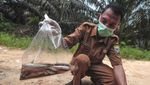 Duh! Sungai Suka Maju di Jambi Diduga Tercemar Limbah Minyak