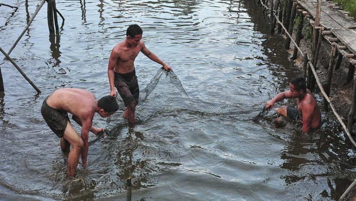 Petugas Dinas Lingkungan Hidup Kabupaten Muaro Jambi mengambil sampel air di aliran anak sungai Suka Maju yang diduga tercemar limbah di Muaro Jambi, Jambi, Senin (8/7/2024). Pengambilan sampel ikan mati dan air sungai yang masih digunakan sejumlah warga untuk mandi, cuci, kakus (MCK) itu dilakukan guna menindaklanjuti laporan warga yang menemukan perubahan warna air, aroma, dan ikan mati yang diduga akibat tercemar limbah minyak. ANTARA FOTO/Wahdi Septiawan/nym.