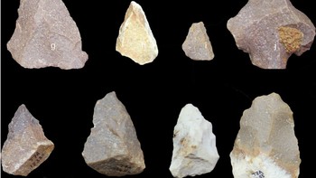 Peralatan zaman batu canggih di India: Lebih dari 90% manusia modern adalah keturunan populasi kecil Homo sapiens yang meninggalkan Afrika sekitar 60.000 tahun lalu. Peneliti berpendapat kelompok itu mungkin sangat sukses karena mengembangkan peralatan batu yang unggul. Namun sebuah situs di India selatan, di mana situs manusia purba belum dipelajari dengan baik, menunjukkan masyarakat di sana punya peralatan canggih lebih dari 200.000 tahun silam. Apa ini berarti nenek moyang manusia meninggalkan Afrika secara berkelompok atau hominid berbeda menghasilkan inovasi serupa secara terpisah, masih belum diketahui. Foto: Independent