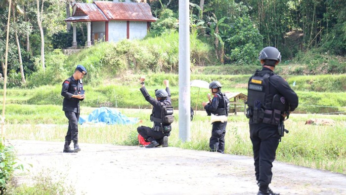 Tim Penjinak Bom (Jibom) Gegana Polda Sulsel memusnahkan granat nanas ditemukan warga di Kabupaten Tana Toraja, Sulawesi Selatan (Sulsel).