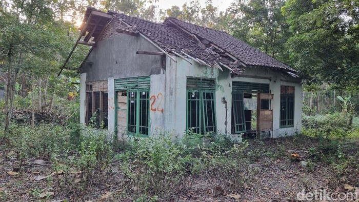 Suasana di kawasan rumah-rumah kosong di Guwosari, Kapanewon Pajangan, Bantul yang viral, Senin (8/7/2024).