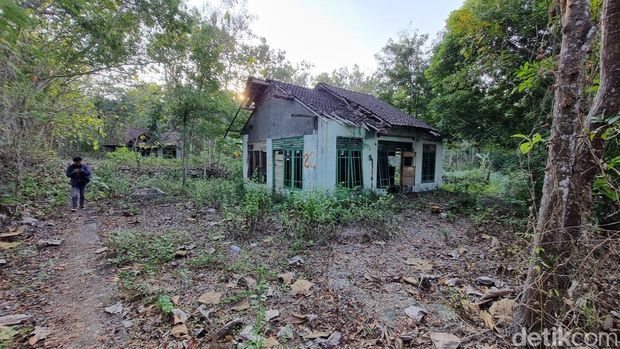 Suasana di kawasan rumah-rumah kosong di Guwosari, Kapanewon Pajangan, Bantul yang viral, Senin (8/7/2024).