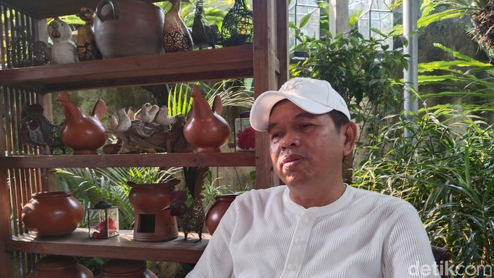 Dedi Mulyadi