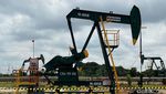 Gaya JK Kunjungi Blok Rokan, Singgung Produksi Minyak Perlu Digeber