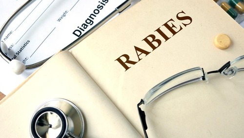 ilustrasi rabies