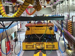 OceanX Sebut Laut Indonesia Dalam Keadaan Kritis