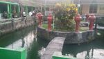 Penampakan Kolam Lokasi Ketua OSIS SMAN 1 Cawas Tewas Kesetrum