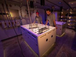 Intip Isi Kapal Canggih OceanX di Tanjung Priok