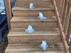 Potret Fenomena Alam yang Jarang Dilihat, Aneh dan Unik