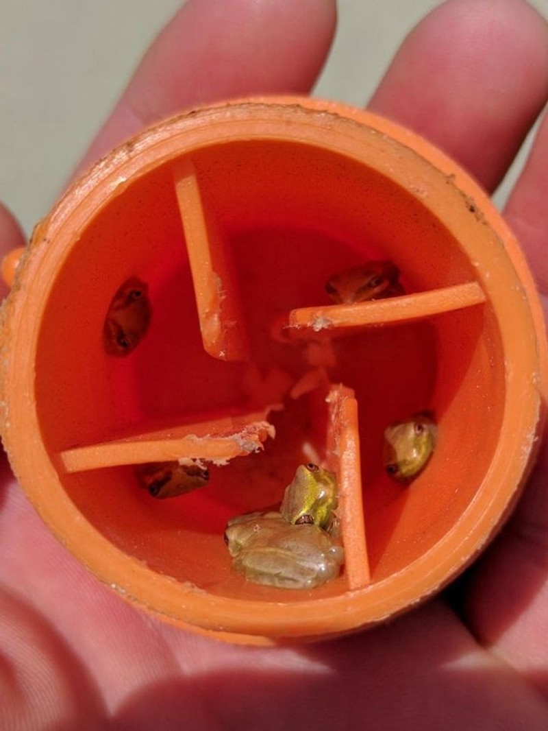 Potret Fenomena Alam yang Jarang Dilihat, Aneh dan Unik