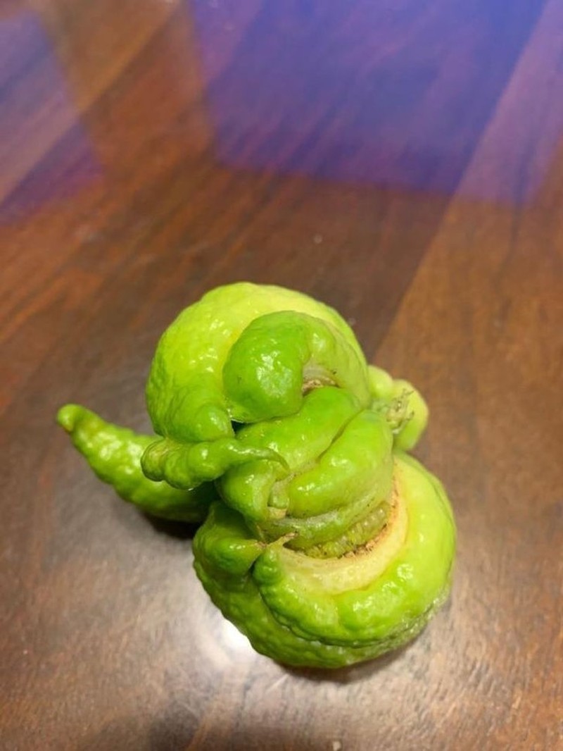 Potret Fenomena Alam yang Jarang Dilihat, Aneh dan Unik