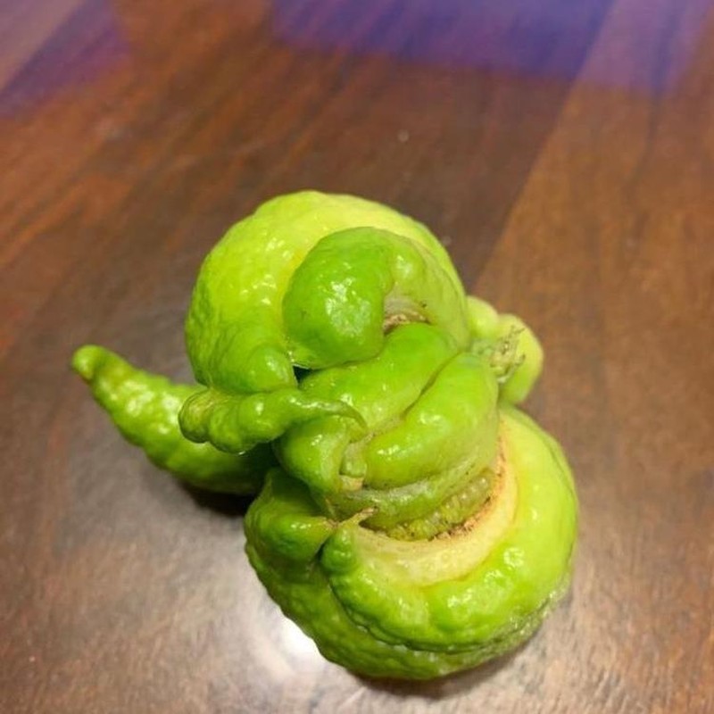 Potret Fenomena Alam yang Jarang Dilihat, Aneh dan Unik