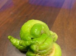 Potret Fenomena Alam yang Jarang Dilihat, Aneh dan Unik