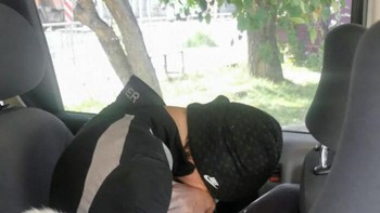 Ibu saya menemukan kucing saya secara online setelah setahun penuh hilang. Foto: Bored Panda