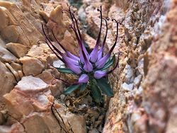 Potret Orang-orang yang Dikaruniai Keberuntungan Tingkat Tinggi