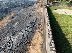 Potret Orang-orang yang Dikaruniai Keberuntungan Tingkat Tinggi