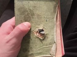 Potret Orang-orang yang Dikaruniai Keberuntungan Tingkat Tinggi