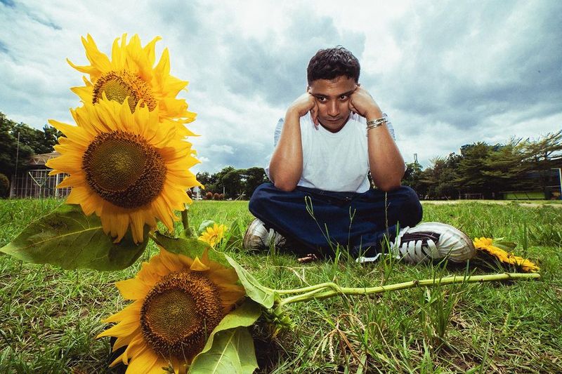 Sal Priadi Sal Priadi dan Gala Bunga Matahari.