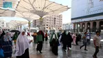 Suasana Masjid Nabawi saat Musim Umrah 1446 H Dimulai