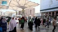 Arab Saudi resmi membuka musim umrah 1446 H. Jemaah dari berbagai negara mulai berdatangan ke Tanah Suci, termasuk Masjid Nabawi. Foto: Saudi Press Agency