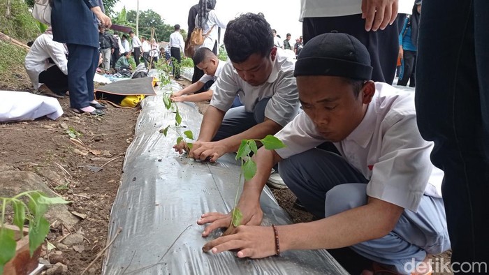 Anak SLB Tasikmalaya saat diberi pelatihan bercocok tanam beberapa waktu lalu
