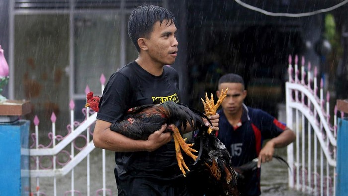 Banjir Luapan Danau Limboto Dua warga menyelamatkan ayam peliharaan mereka ketika banjir merendam Desa Buhu, Kecamatan Telaga jaya, Kabupaten Gorontalo, Gorontalo, Rabu (10/7/2024). Dua desa yaitu Buhu dan Hutadaa terendam air luapan Danau Limboto hingga ketinggian mencapai 1,5 meter akibat hujan deras mengguyur daerah itu. ANTARA FOTO/Adiwinata Solihin/Spt.