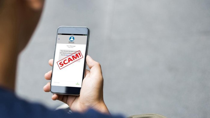 Ilustrasi Scam atau Penipuan Online