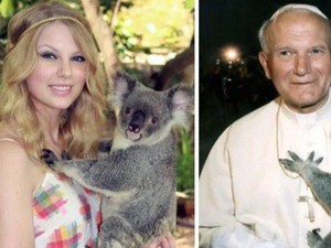 Kebun Binatang di Australia akan Melarang Turis Memeluk Koala, Mengapa?
