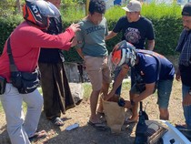 Ketua PMII Lombok Timur Ditangkap karena Jadi Pengedar Sabu!