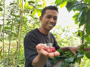 Kisah Windarno Eks Cleaning Service yang Sukses Bikin Kopi Suroloyo Mendunia