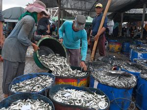 Melihat Panen Ikan di Pantai Kedonganan Bali