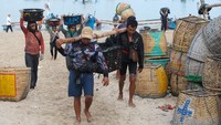 Sejumlah nelayan membawa keranjang dan ember berisi ikan saat panen ikan di Pantai Kedonganan, Badung, Bali, Rabu (10/7/2024).