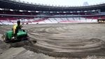 Melihat Progres Revitalisasi Rumput Stadion GBK
