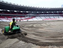 Melihat Progres Revitalisasi Rumput Stadion GBK