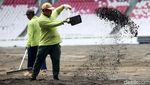 Melihat Progres Revitalisasi Rumput Stadion GBK