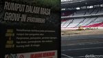 Melihat Progres Revitalisasi Rumput Stadion GBK