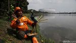 Menyulap Sampah Botol Plastik Jadi Patung Burung