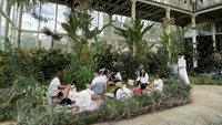 Rumah Gemuk Bali menonjol dengan arsitektur rumah kaca yang cantik. Desain bangunan ini memungkinkan cahaya matahari masuk secara maksimal, menciptakan suasana terang dan hangat di dalamnya. (Ni Made Nami Krisnayanti/detikTravel)