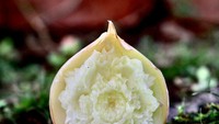 Bahkan, ukiran dari bawang bombay juga tampak cantik. Chef Daniele mebelah bawang bombay menjadi 2 bagian, kemudian mengukirnya menjadi kelopak bunga. Foto: Instagram danielebarresi_artist