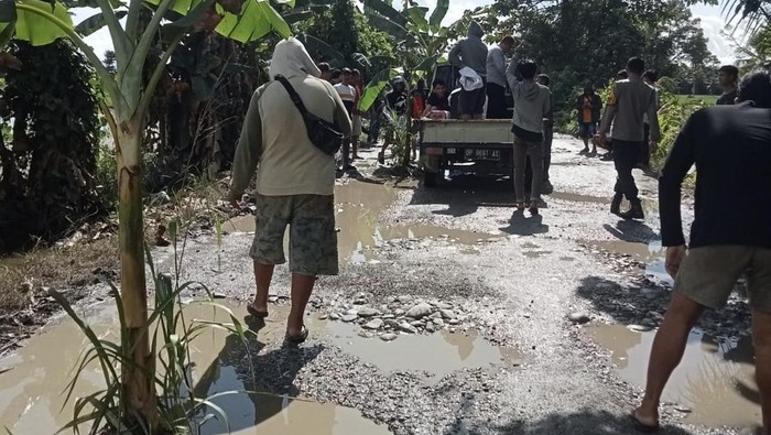 Warga tanam pisang di tengah jalan rusak di Kecamatan Baebunta Selatan, Luwu Utara.