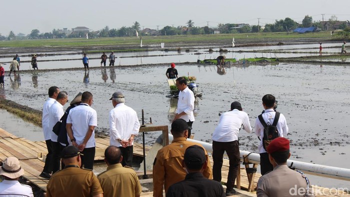 Jokowi saat meninjau lahan persawahan di Kecamatan Sragi, Kabupaten Lampung.
