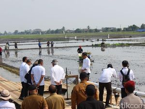 Jokowi Ingin Petani Lampung Panen 3 Kali Setahun Lewat Program Pompanisasi