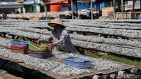 Setiap orang di tempat pengolah ikan menjalankan perannya masing-masing.