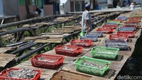 Jika memasuki musim penghujan, penjemuran ikan asin akan sangat terganggu.